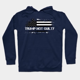 Trump Not Guilty, We Are Trump. Hoodie